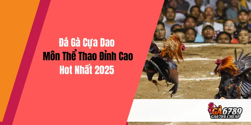 Đá Gà Cựa Dao: Môn Thể Thao Đỉnh Cao Hot Nhất 2025